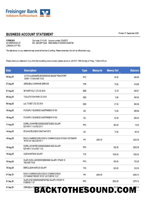 Pobierz Freisinger Bank Konto Biznes Wyciąg bankowy Word and PDF Format Próbka szablon
