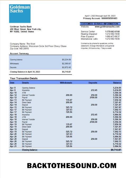 Pobierz Goldman Sachs Bank organizacja Konto Wyciąg bankowy Word and PDF Próbka szablon