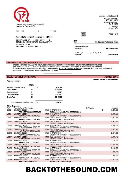 Pobierz Huishang Bank firma Konto Wyciąg bankowy Word and PDF Próbka podgląd