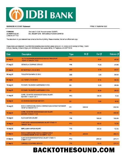 Pobierz IDBI Bank enterprise Konto Wyciąg bankowy Word and PDF Próbka makieta