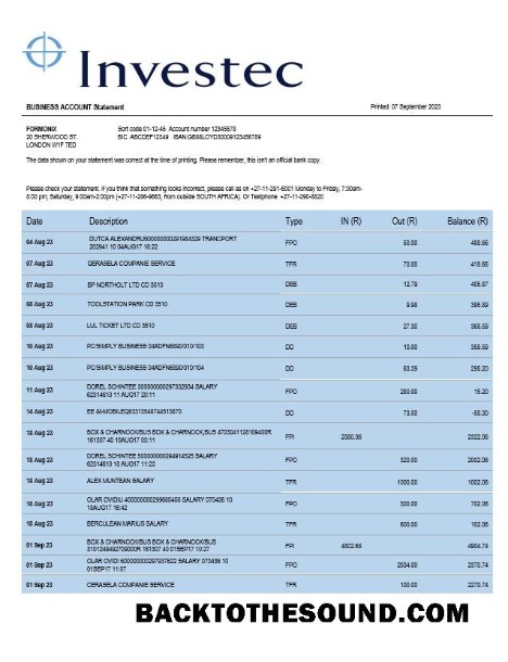 Pobierz Investec Bank organizacja Wyciąg bankowy Word and PDF Próbka projekt