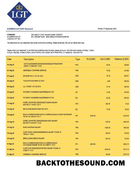 Pobierz LGT Bank organizacja sprawdzanie Konto Wyciąg bankowy Word and PDF Próbka makieta