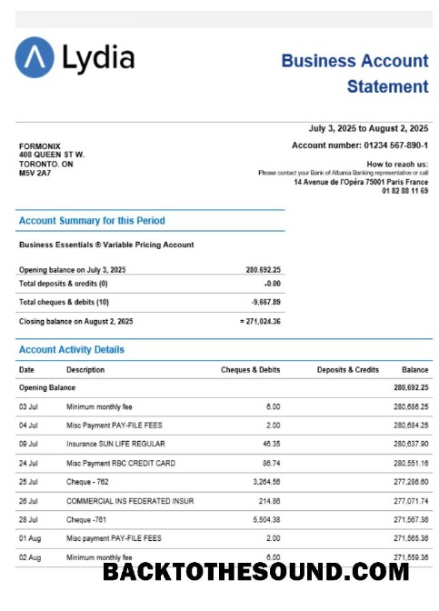 Pobierz Lydia Noir Bank Biznes firma Konto Wyciąg bankowy Word snd PDF Format Próbka makieta