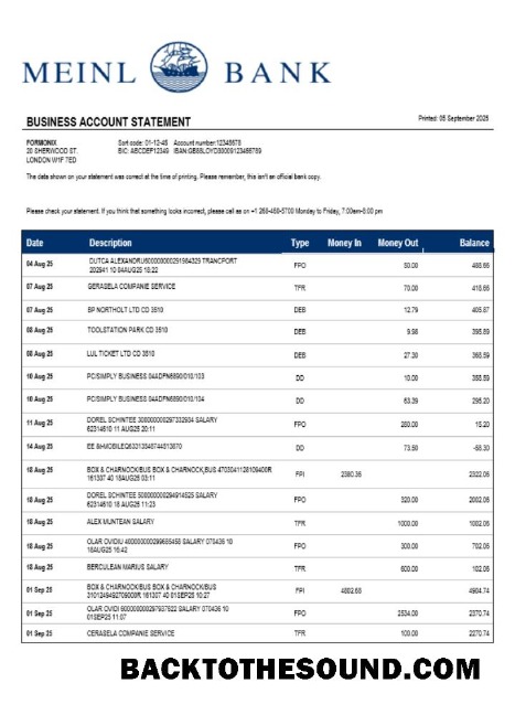 Pobierz Meinl Bank Firma sprawdzanie Konto Wyciąg bankowy Word and PDF Próbka próbka