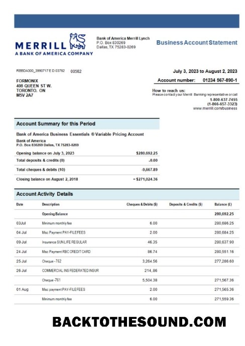 Pobierz Merrill Bank organizacja Konto Wyciąg bankowy Word and PDF Próbka projekt