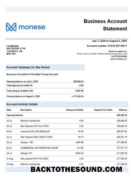 Pobierz Monese Bank Biznes Bank Wyciąg bankowy Word and PDF Format Próbka próbka