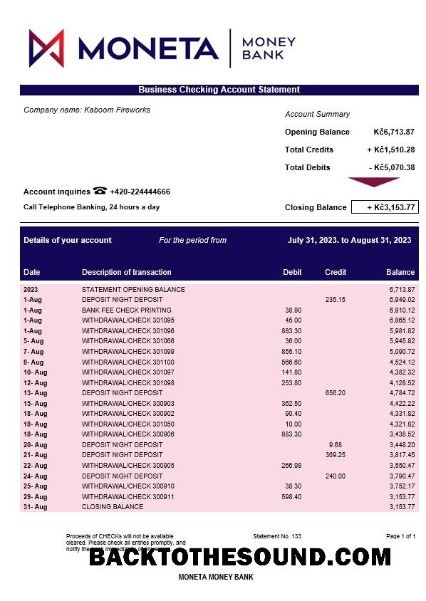 Pobierz Moneta Money Bank firma Konto Wyciąg bankowy Word and PDF Próbka szablon