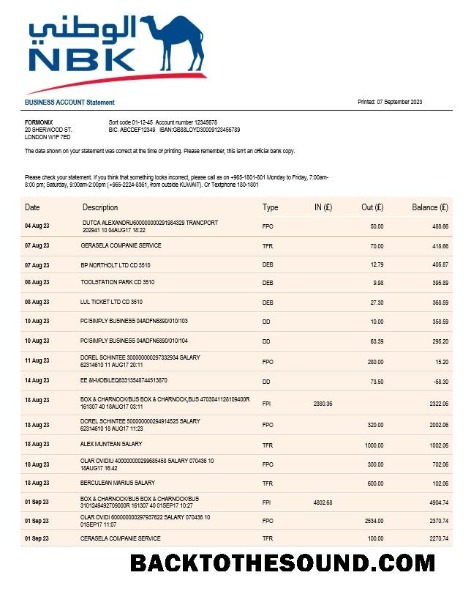 Pobierz NBK Bank Biznes Wyciąg bankowy Word and PDF Próbka podgląd