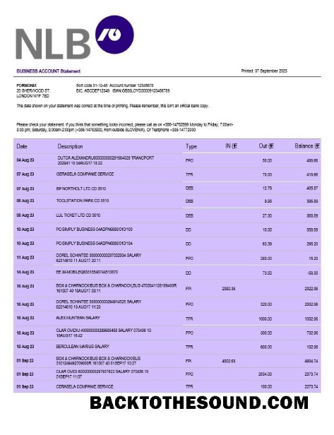Pobierz NLB Bank firma Konto Wyciąg bankowy Word and PDF Próbka próbka