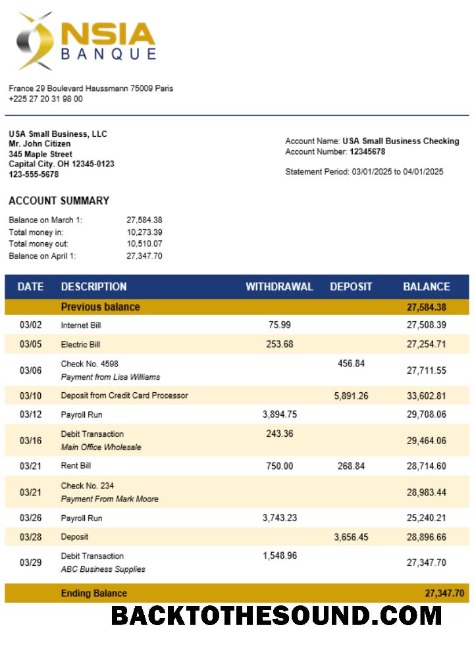 Pobierz NSIA Banque Biznes Bank Wyciąg bankowy Word and PDF Format Próbka szablon