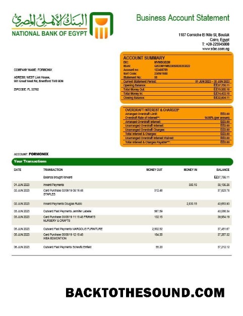 Pobierz narodowy Bank of Egipt Firma Konto Wyciąg bankowy Word and PDF Próbka podgląd