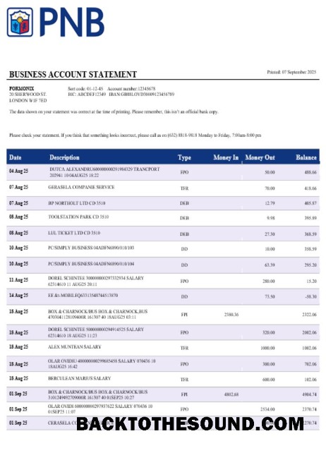 Pobierz PNB Bank Biznes Konto Wyciąg bankowy Word and PDF Próbka próbka