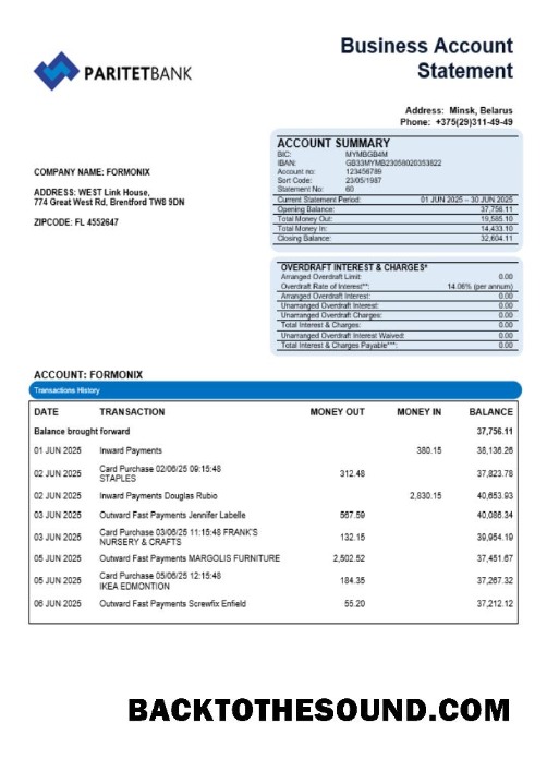 Pobierz Paritet Bank Firma Konto Wyciąg bankowy Word and PDF Format Próbka próbka