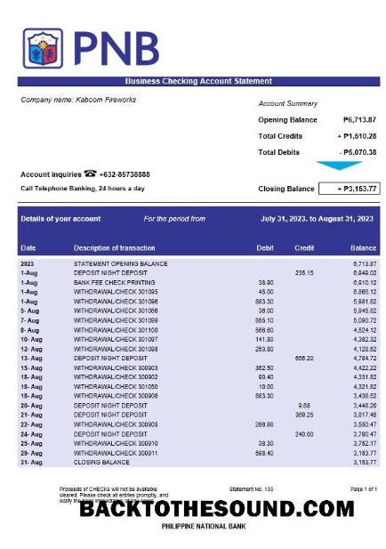 Pobierz Philippine narodowy Bank Biznes Wyciąg bankowy Word and PDF Próbka projekt
