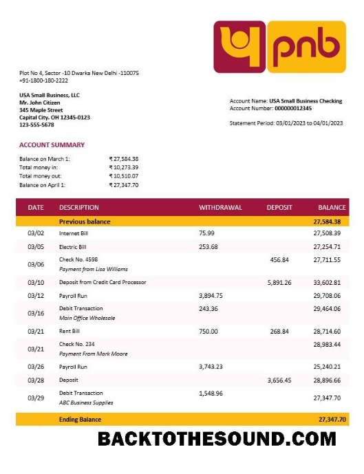 Pobierz Punjab narodowy Bank Biznes Wyciąg bankowy Word and PDF Próbka makieta