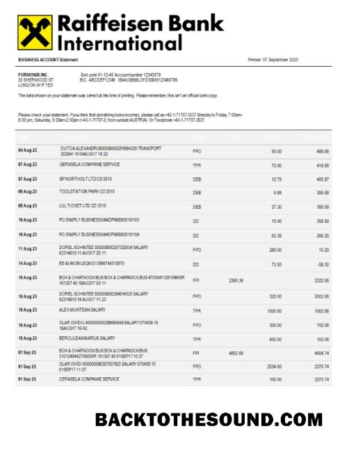 Pobierz Raiffeisen Bank międzynarodowy Bank międzynarodowy Firma Wyciąg bankowy Word and PDF Próbka projekt