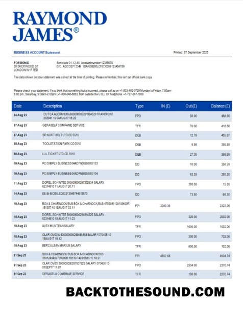 Pobierz Raymond James Bank organizacja Wyciąg bankowy Word and PDF Próbka podgląd