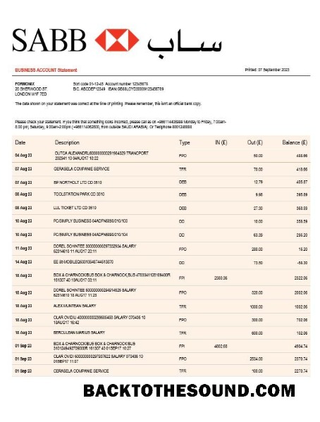 Pobierz SABB Bank Firma Wyciąg bankowy Word and PDF Próbka szablon