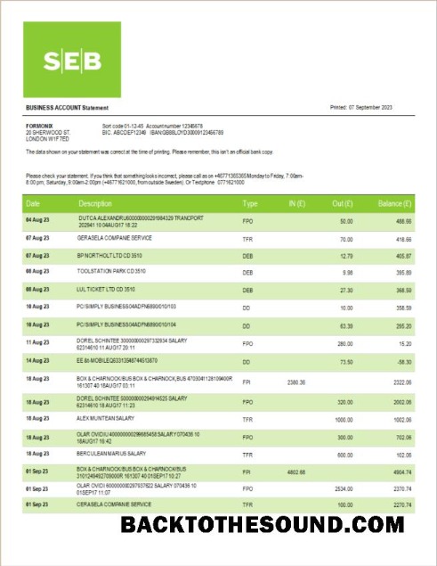 Pobierz SEB Bank Firma Wyciąg bankowy Word and PDF Próbka projekt