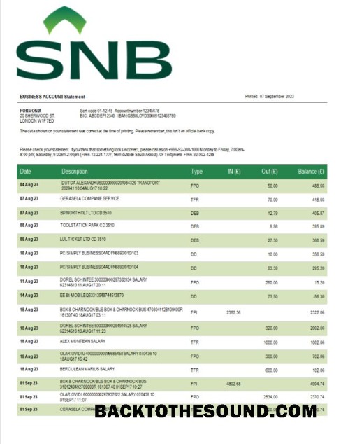 Pobierz SNB Bank enterprise Wyciąg bankowy Word and PDF Próbka próbka