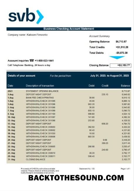 Pobierz SVB Bank firma Wyciąg bankowy Word and PDF Próbka projekt