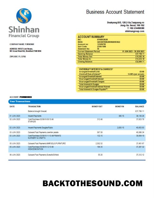 Pobierz Shinhan Financial Group enterprise Wyciąg bankowy Word and PDF Próbka projekt