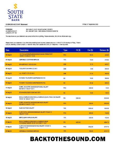 Pobierz South State Bank Firma Wyciąg bankowy Word and PDF Próbka próbka