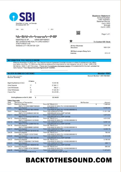 Pobierz State Bank of Indie Firma Konto Wyciąg bankowy Word and PDF Próbka podgląd