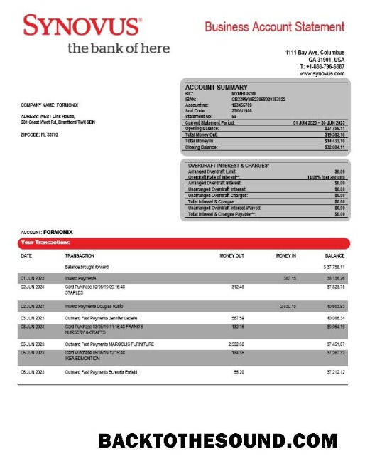 Pobierz Synovus Bank enterprise Wyciąg bankowy Word and PDF Próbka szablon