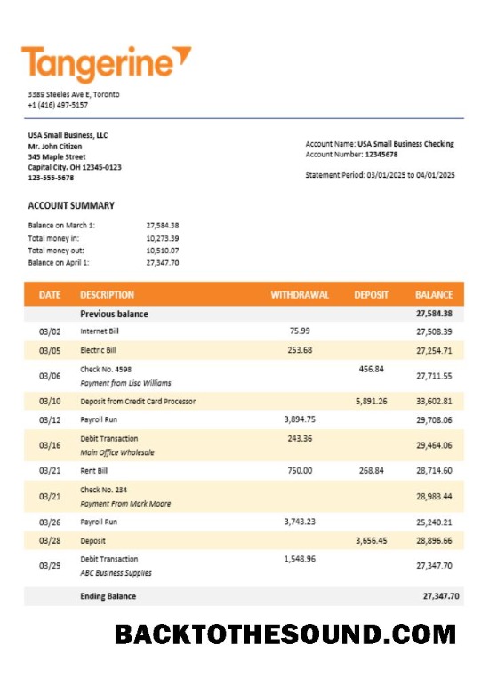Pobierz Tangerine Biznes Bank Wyciąg bankowy Word and PDF Format Próbka makieta