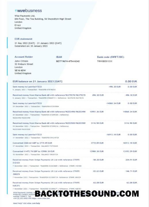 Pobierz Wielka Brytania Wise Biznes Bank Wyciąg bankowy Word and PDF Próbka szablon