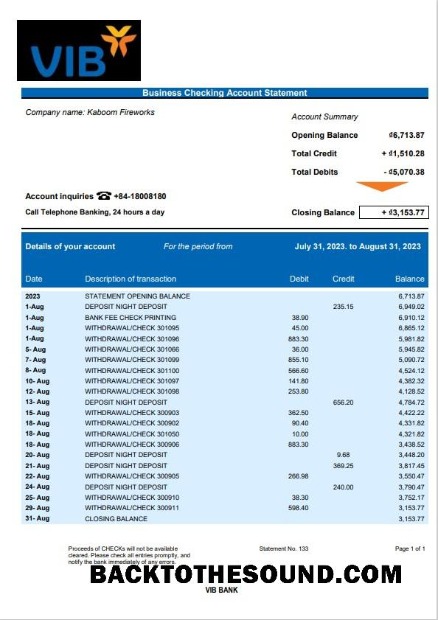 Pobierz VIB Bank Biznes sprawdzanie Konto Wyciąg bankowy Word and PDF Próbka projekt