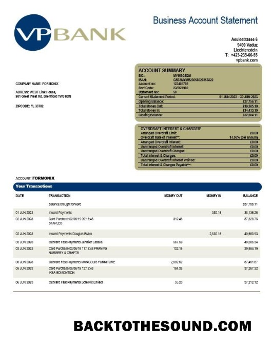 Pobierz VP Bank firma Konto Wyciąg bankowy Word and PDF Próbka próbka