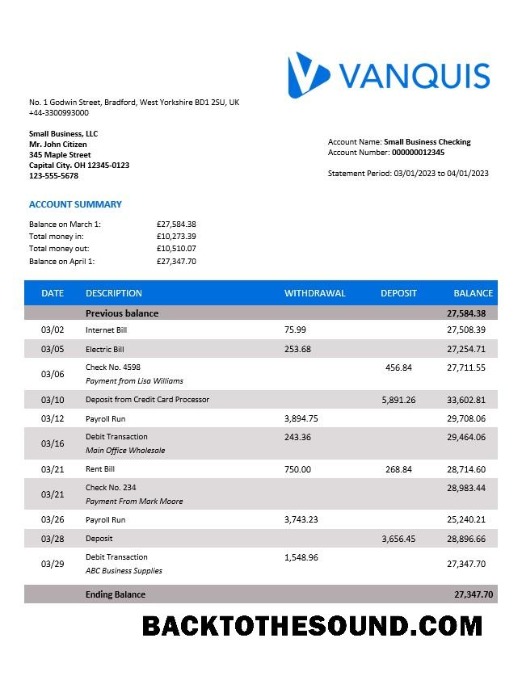 Pobierz Vanquis Bank organizacja Konto Wyciąg bankowy Word and PDF Próbka szablon
