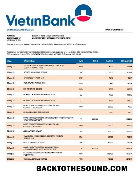 Pobierz Vietin Bank firma Konto Wyciąg bankowy Word and PDF Próbka podgląd