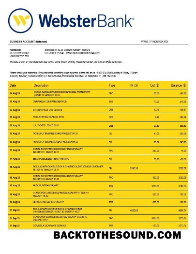 Pobierz Webster Bank Biznes Wyciąg bankowy Word and PDF Próbka makieta