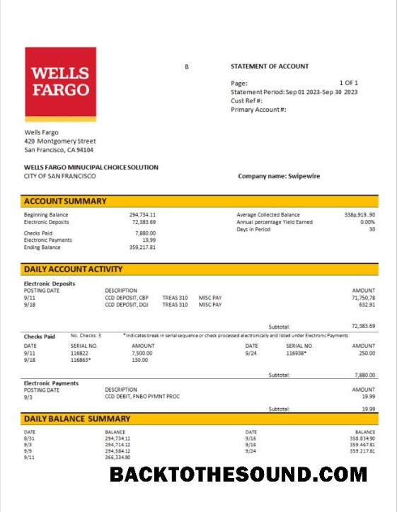 Pobierz Wells Fargo Biznes Konto Wyciąg bankowy Word and PDF Próbka projekt