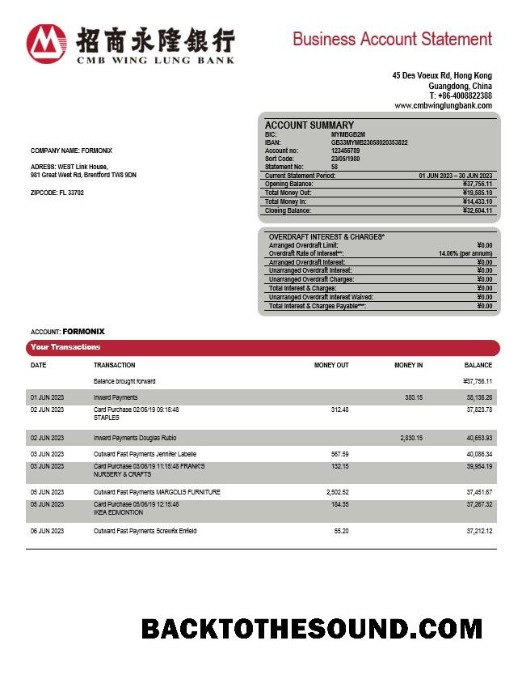 Pobierz Wing Lung Bank Firma Konto Wyciąg bankowy Word and PDF Próbka makieta