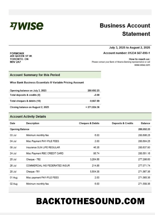 Pobierz Wise Firma sprawdzanie Konto Wyciąg bankowy Word and PDF Próbka projekt