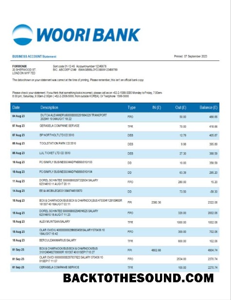Pobierz Woori Bank Biznes Wyciąg bankowy Word and PDF Próbka makieta