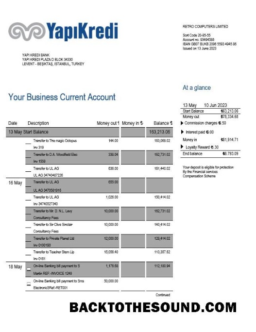 Pobierz Yapi Kredi Bank organizacja Konto Wyciąg bankowy Word and PDF Próbka próbka