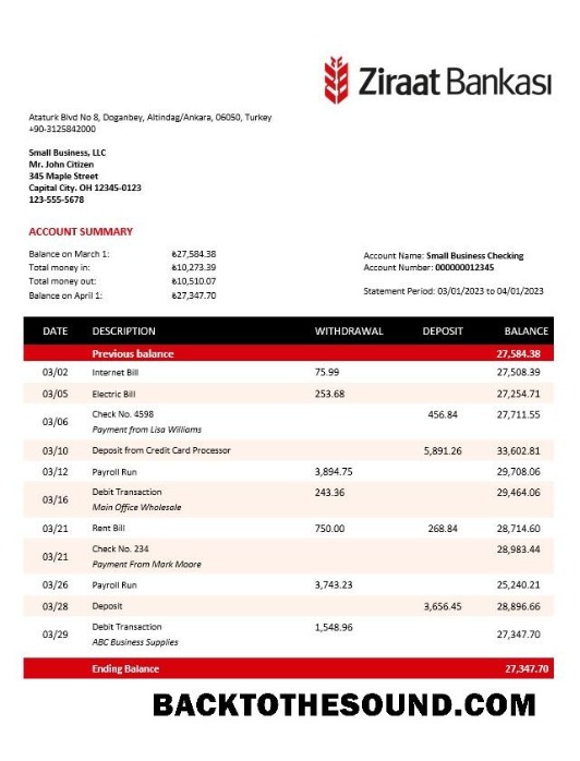 Pobierz Ziraat Bankasi Biznes sprawdzanie Konto Wyciąg bankowy Word and PDF Próbka projekt