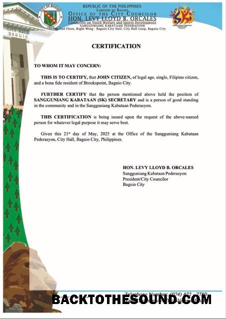 Premium Λήψη Φιλιππίνες Πιστοποιητικό of good standing Word and PDF Πρότυπο, Έκδοση 8 Δείγμα