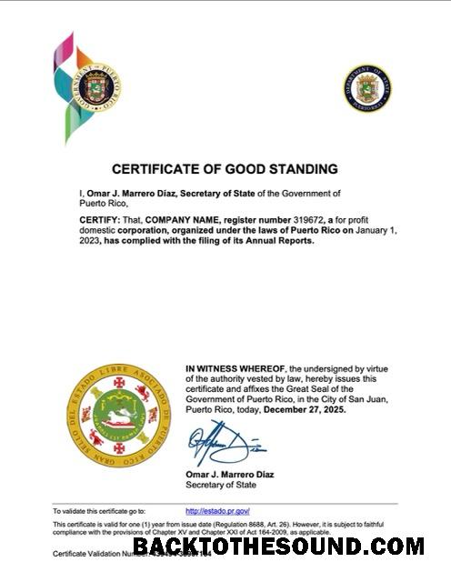 Λήψη Πουέρτο Ρίκο Πιστοποιητικό of good standing Word and PDF Δείγμα σχεδιασμό