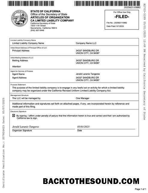 Λήψη ΗΠΑ California articles of οργάνωση limited liability Εταιρεία Word and PDF Δείγμα προεπισκόπηση