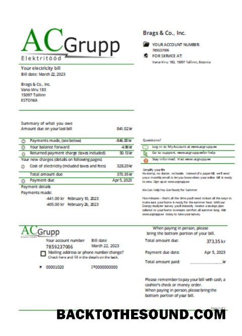 Scarica AC Grupp OÜ Elettricità Bolletta Affari Bolletta SCR Campione design