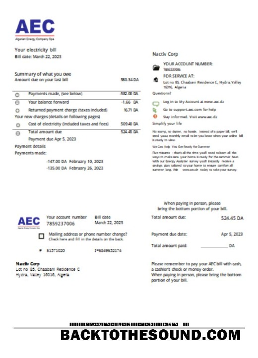 Scarica AEC Algerian Energy Azienda Bolletta Affari Bolletta, SCR Campione mockup