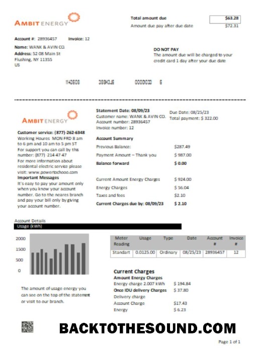 Scarica Ambit Energy Bolletta Affari Bolletta, SCR Campione anteprima