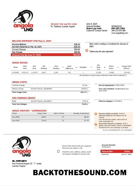 Scarica Angola LNG proof of address Affari Bolletta Bolletta in Word and PDF Formato Campione campione