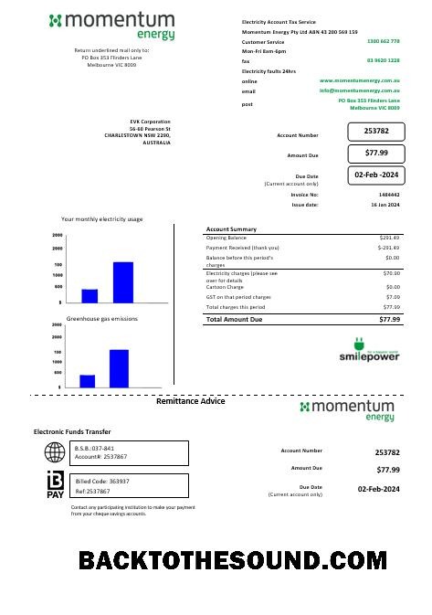 Scarica Australia Momentum Energy Affari Bolletta Bolletta in Word and PDF Formato Campione anteprima